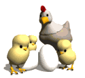 poule-coq-poussin_eb-091.gif
