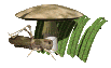 sauterelle_eb-008.gif