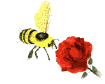 abeille-guepe_eb-027.gif