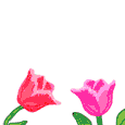 abeille-guepe_eb-035.gif