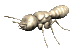 abeille-guepe_eb-058.gif