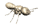 abeille-guepe_eb-059.gif