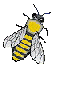 abeille-guepe_eb-065.gif