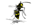 abeille-guepe_eb-079.gif