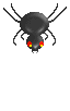 araignee_eb-021.gif