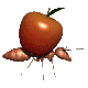 fourmi_eb-021.gif