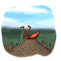 fourmi_eb-045.gif