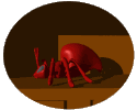 fourmi_eb-053.gif