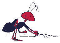 fourmi_eb-067.gif