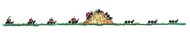 fourmi_eb-072.gif