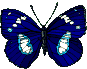 papillon_eb-039.gif
