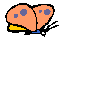 papillon_eb-040.gif