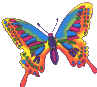 papillon_eb-047.gif