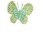 papillon_eb-101.gif
