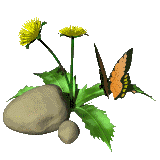 papillon_eb-110.gif