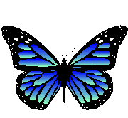 papillon_eb-121.gif