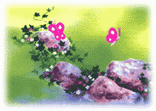 papillon_eb-129.gif