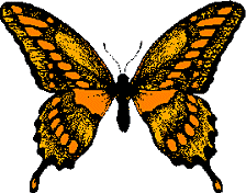papillon_eb-130.gif