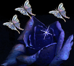 papillon_eb-133.gif