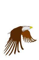 aigle_eb-026.gif