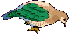 arboricole_eb-021.gif