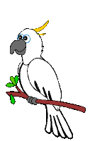 cacatoes_eb-011.gif