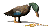 canard_eb-032.gif