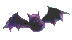 chauve-souris_eb-012.gif