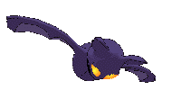 chauve-souris_eb-015.gif