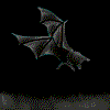 chauve-souris_eb-029.gif