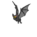 chauve-souris_eb-035.gif