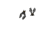 chauve-souris_eb-038.gif