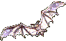 chauve-souris_eb-042.gif