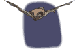chauve-souris_eb-049.gif