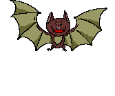 chauve-souris_eb-057.gif