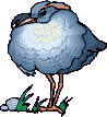 echassiers_eb-013.gif