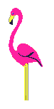 echassiers_eb-021.gif