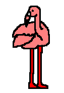 flamant-rose_eb-005.gif