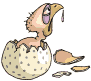 oisillons_eb-012.gif