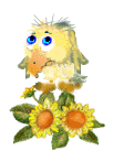 oisillons_eb-017.gif