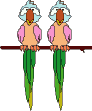 perroquet_eb-048.gif