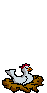 poules_eb-015.gif