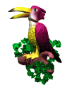 toucan_eb-010.gif