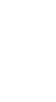autruche_eb-025.gif