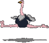 autruche_eb-031.gif