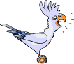 oiseaux-bd_eb-049.gif