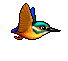 colibris_eb-027.gif