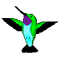 colibris_eb-028.gif