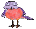 oiseaux_eb-033.gif