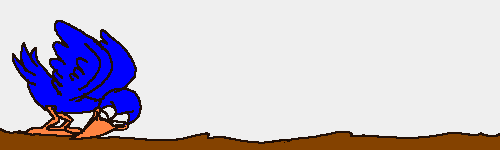 oiseaux_eb-035.gif